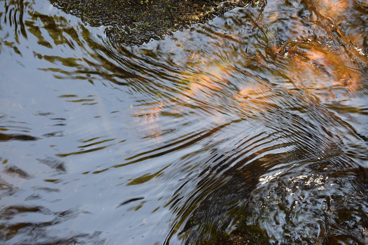 Water, nature, features — 5 Causes of Unresponsive Cold Emails