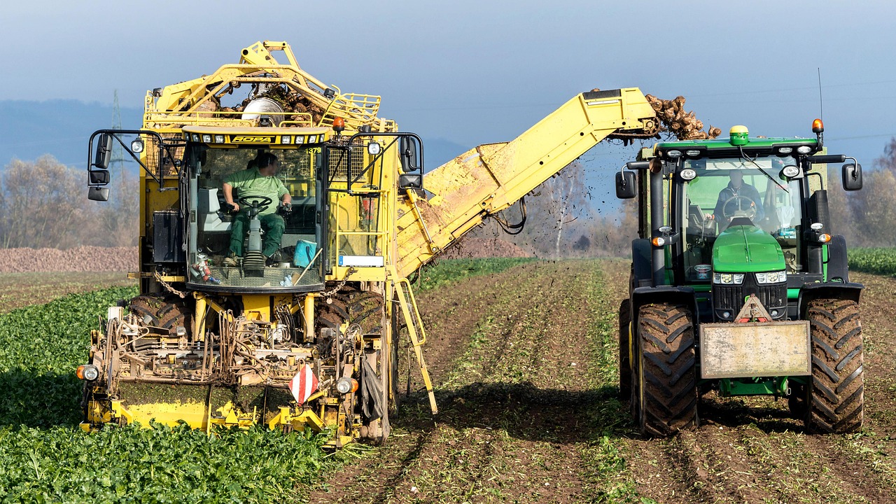 Turnip, vegetables, harvest — How has technology changed the conventional photography?