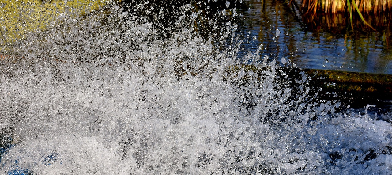 Water splash, gush, water — How to Find the Best Free Poker Games for Android