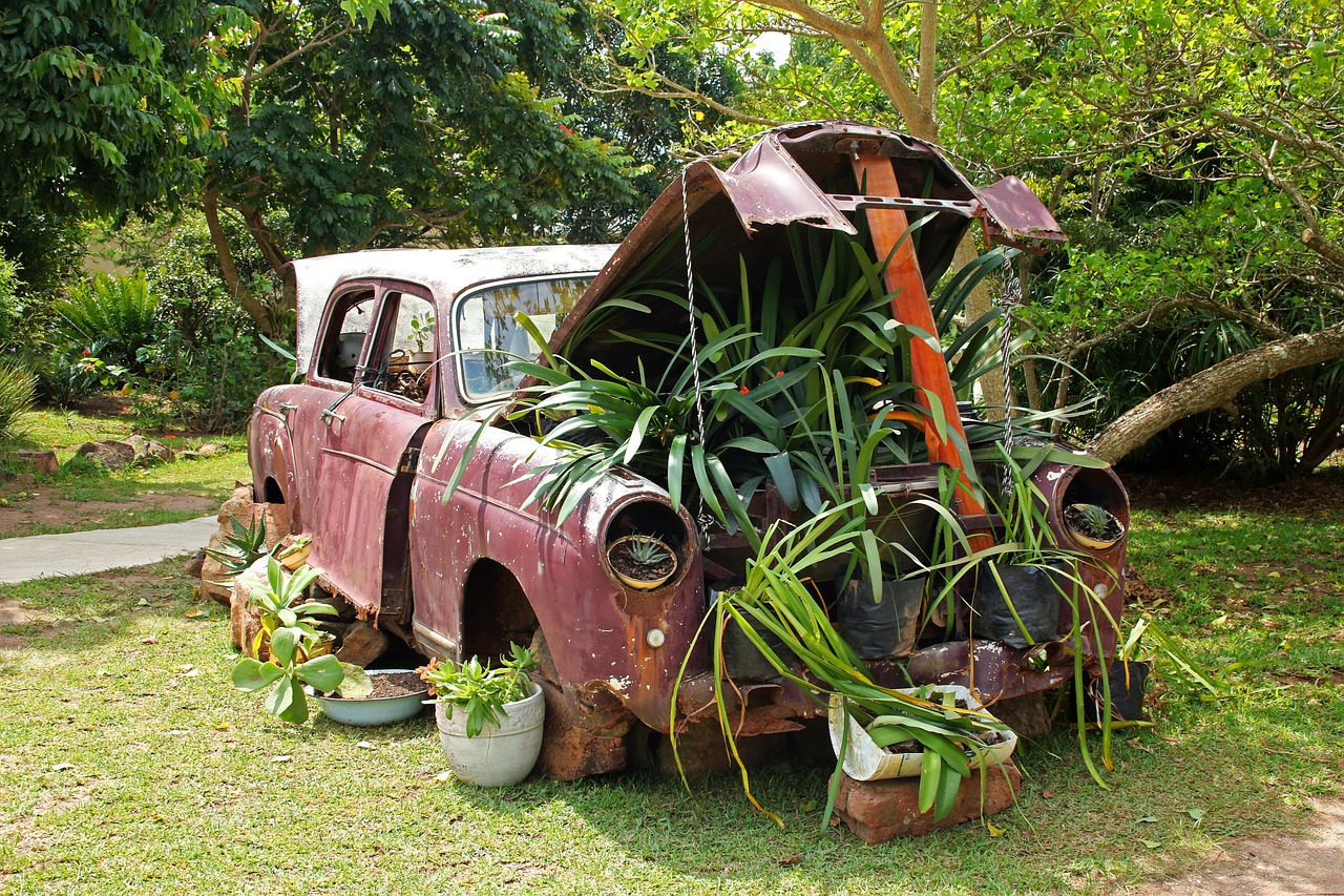 Vintage car, plants under bonnet, car — The Best Slot Online With Multipliers