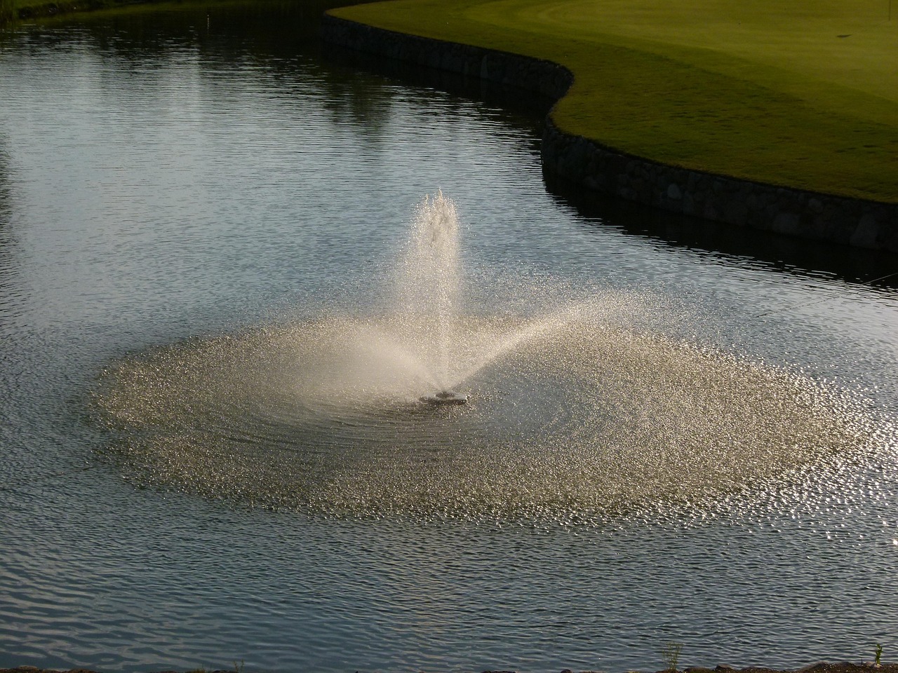 Fountain, water feature, illuminated — Transformative SEO Techniques Uncovered at SEOMoz Conference